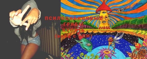 гашик Балабаново