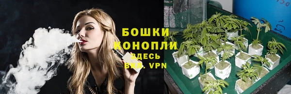 мдпв Сатка