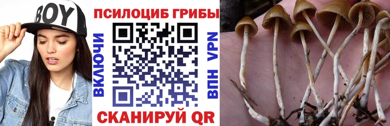 Галлюциногенные грибы прущие грибы  Подпорожье 