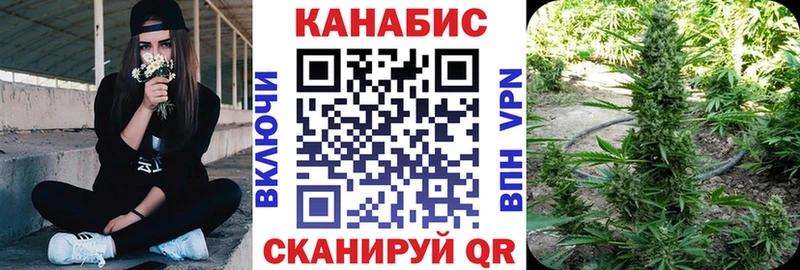 Каннабис план наркошоп Подпорожье